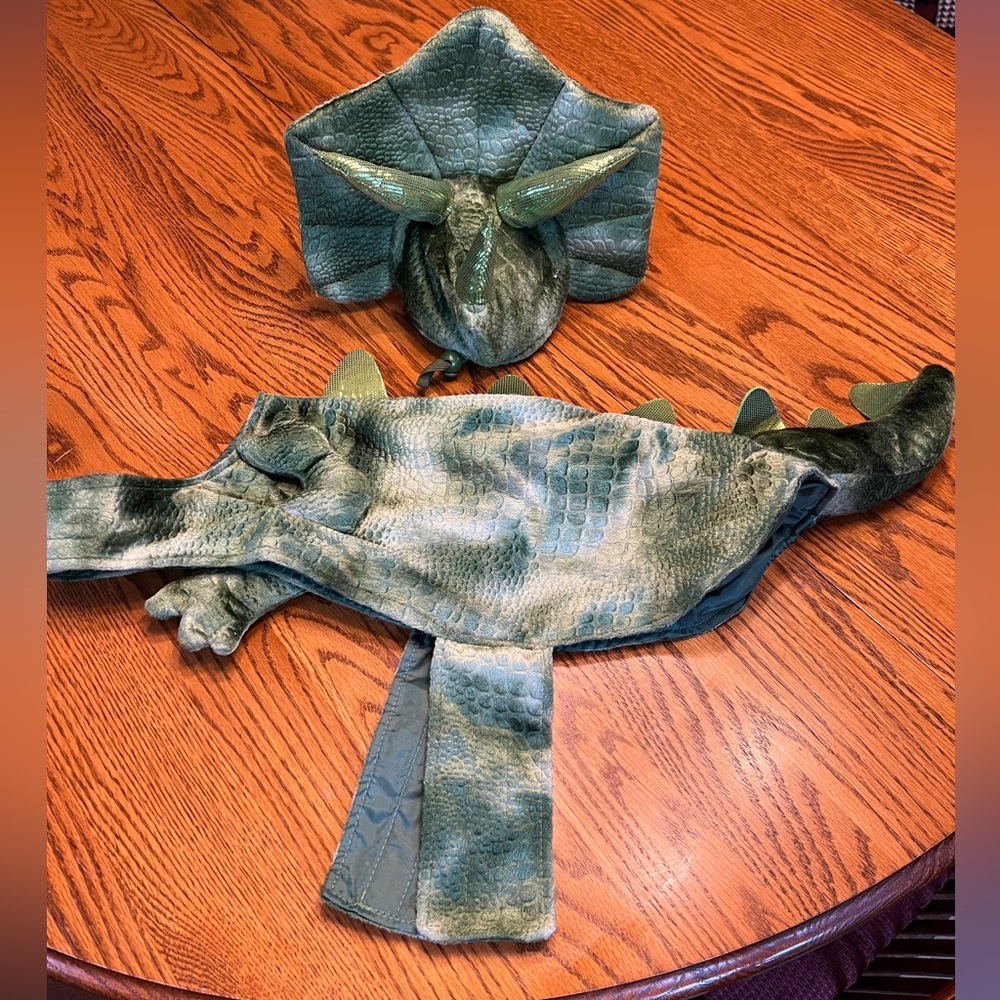 Pet Stegosaurus Halloween Costume by Thrills and Chills.